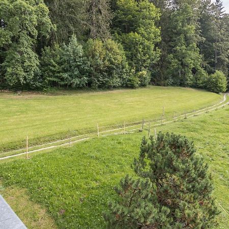 Ferienwohnung Oberrisstraum Шлірзе Екстер'єр фото