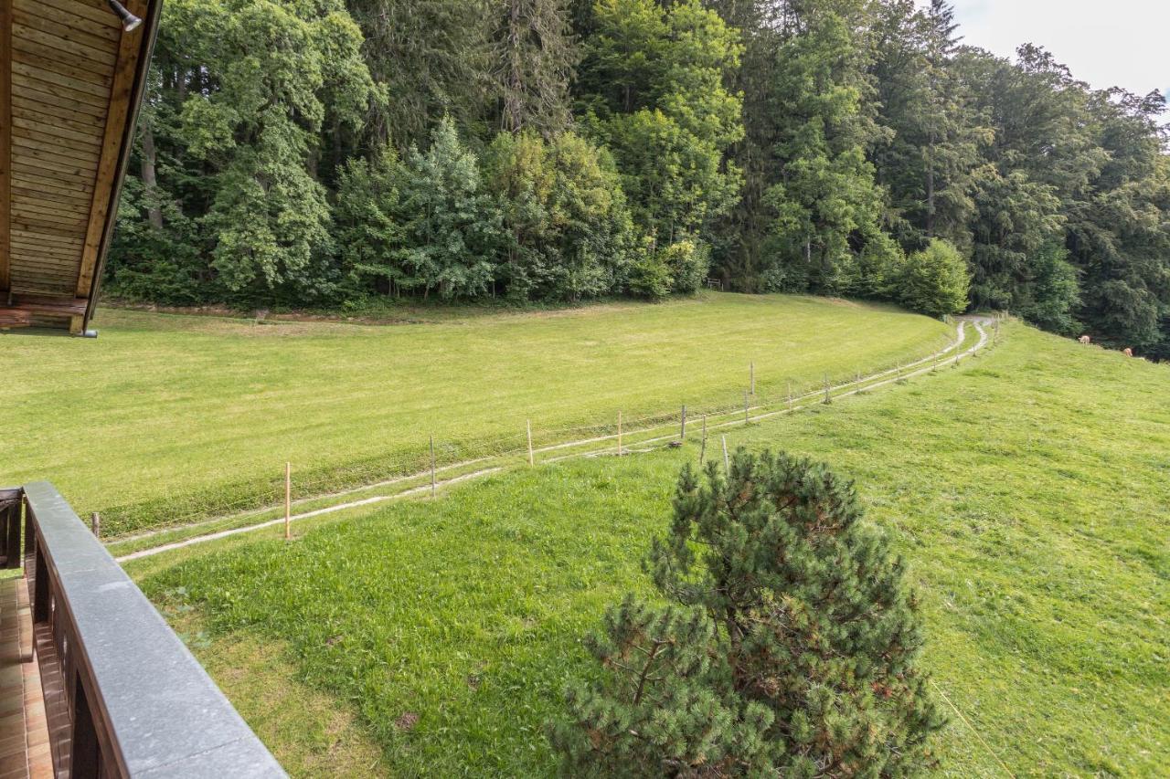 Ferienwohnung Oberrisstraum Шлірзе Екстер'єр фото